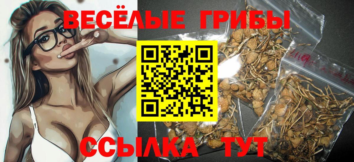 Мелеуз  Псилоцибиновые грибы Psilocybine cubensis  Вход с VPN  Галлюциногенные грибы Psilocybine cubensis 