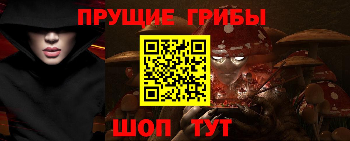 Псилоцибиновые грибы мицелий Мелеуз